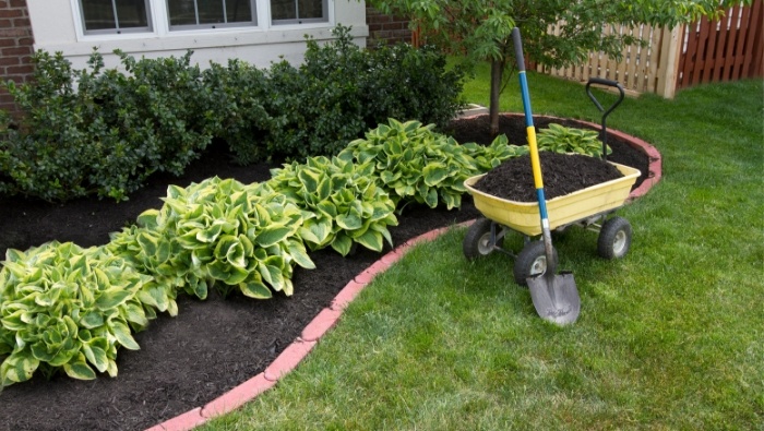 Inexpensive Landscaping Ideas for the Frugal Homeowner photo