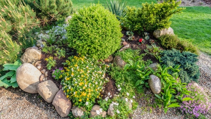 Affordable Alternatives to a Grass Lawn photo