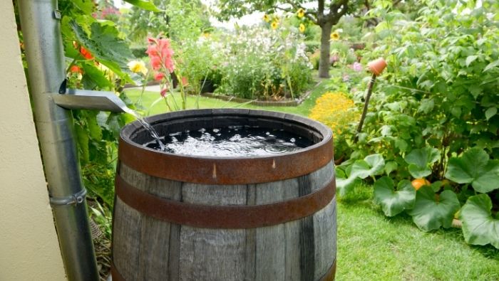 Reduce Your Water Bill with Rain Barrels photo