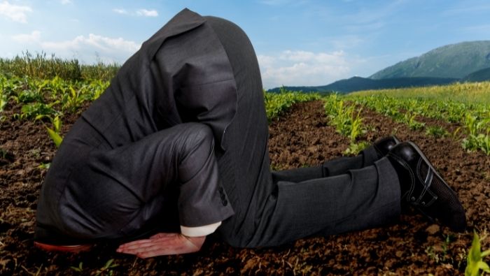 Don't Bury Your Head in Sand About Finances photo