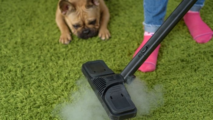 Removing Pet Urine Stains from Carpet photo