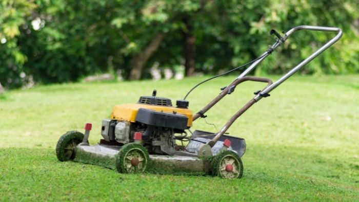 Lawn Mower Maintenance That Can Save You Money photo